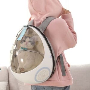 capsule futuriste pour petits chiens et chats