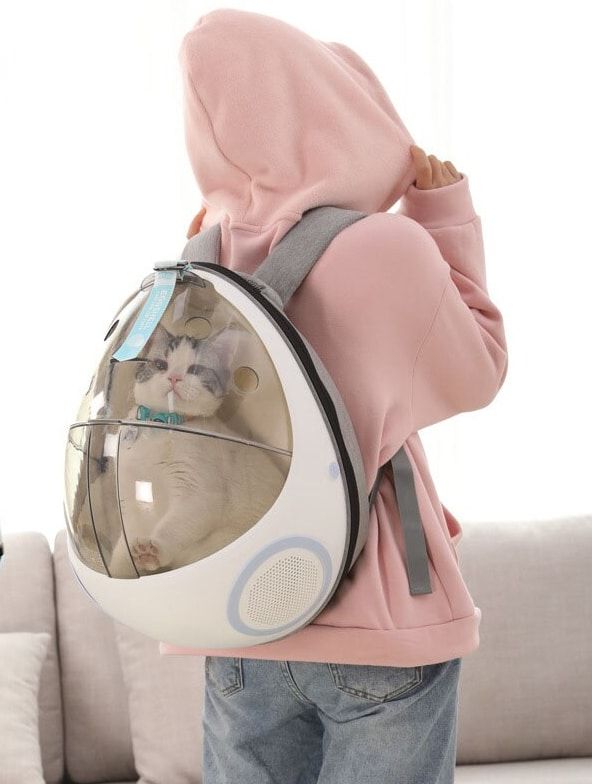 capsule futuriste pour petits chiens et chats