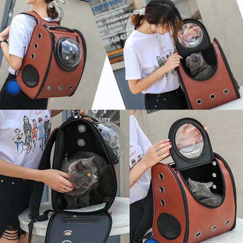 sac à dos de voyage pour animaux stylé