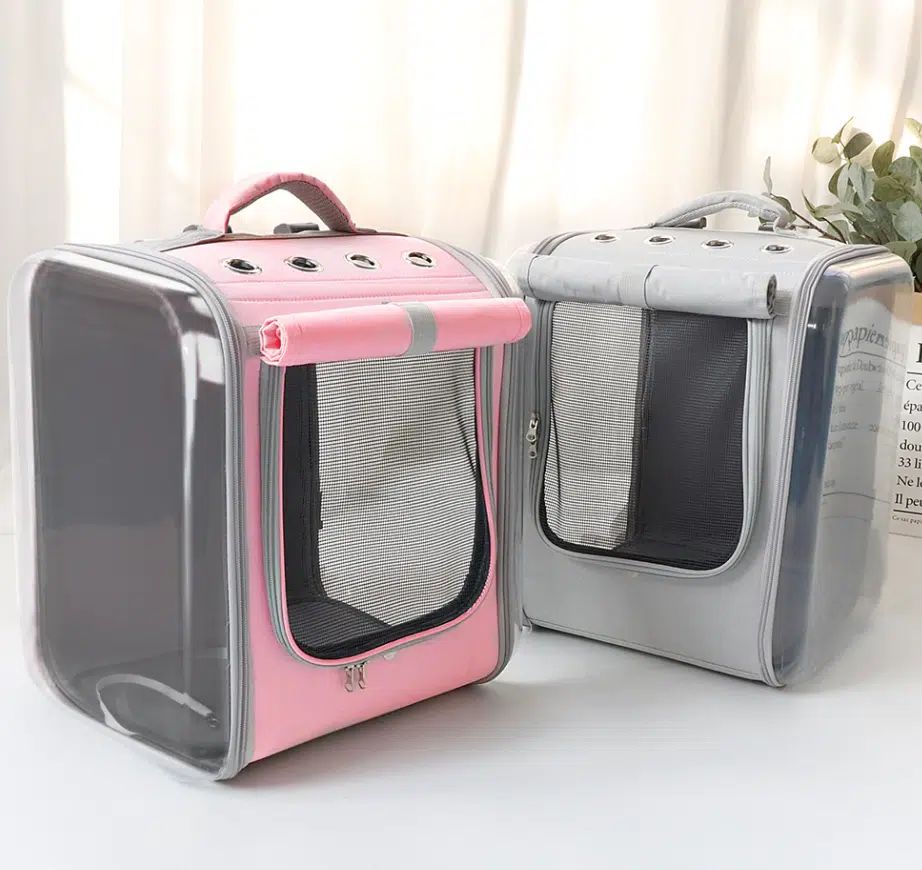 sac à dos pour chat
