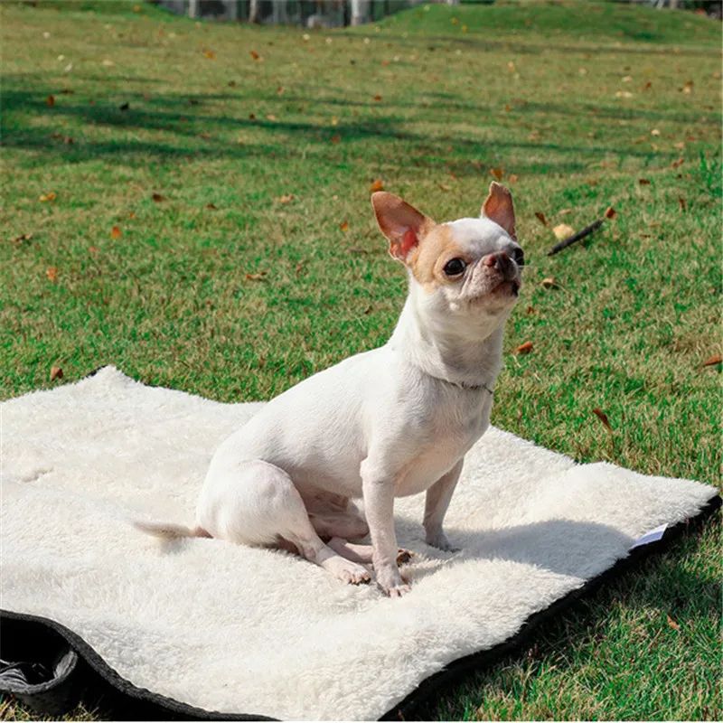 sac à main stylé pour petit chien