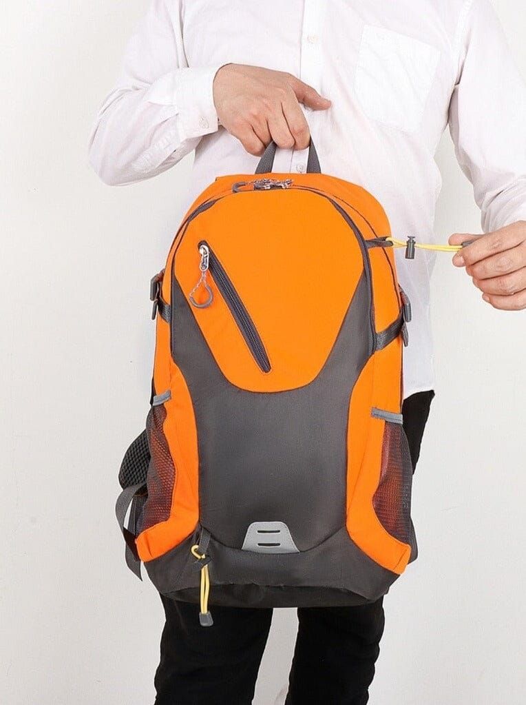 sac de voyage 40L