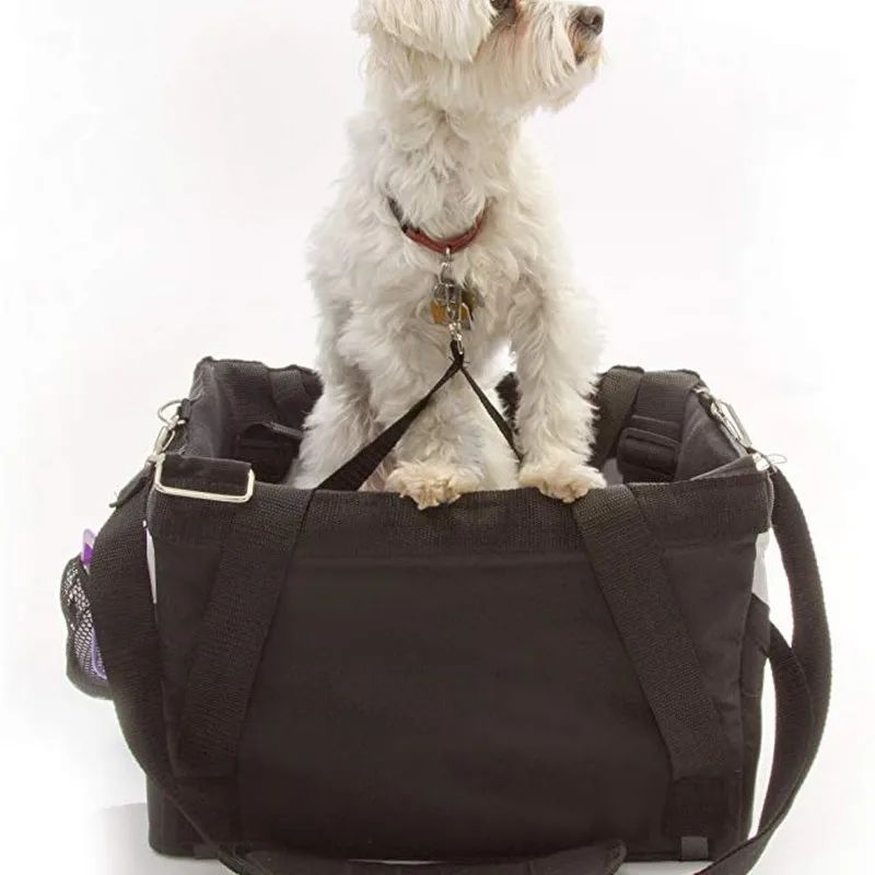 sac de voyage chien pour vélo
