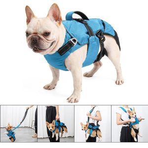 sac de voyage type sac à dos 4 en 1 pour chien
