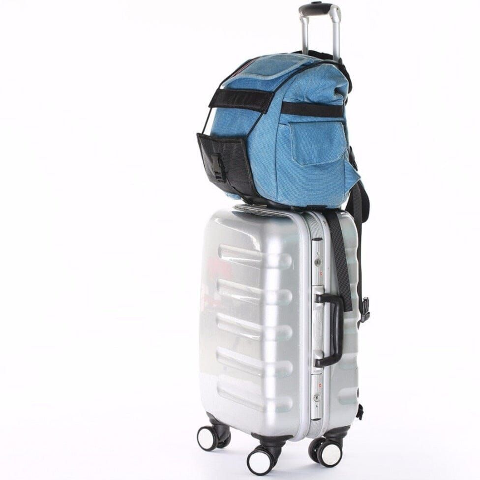 sangle de transport bagage